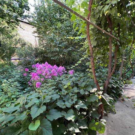 Lovely Home Osch Exterior foto